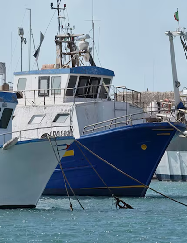 Navy / Defence Industry